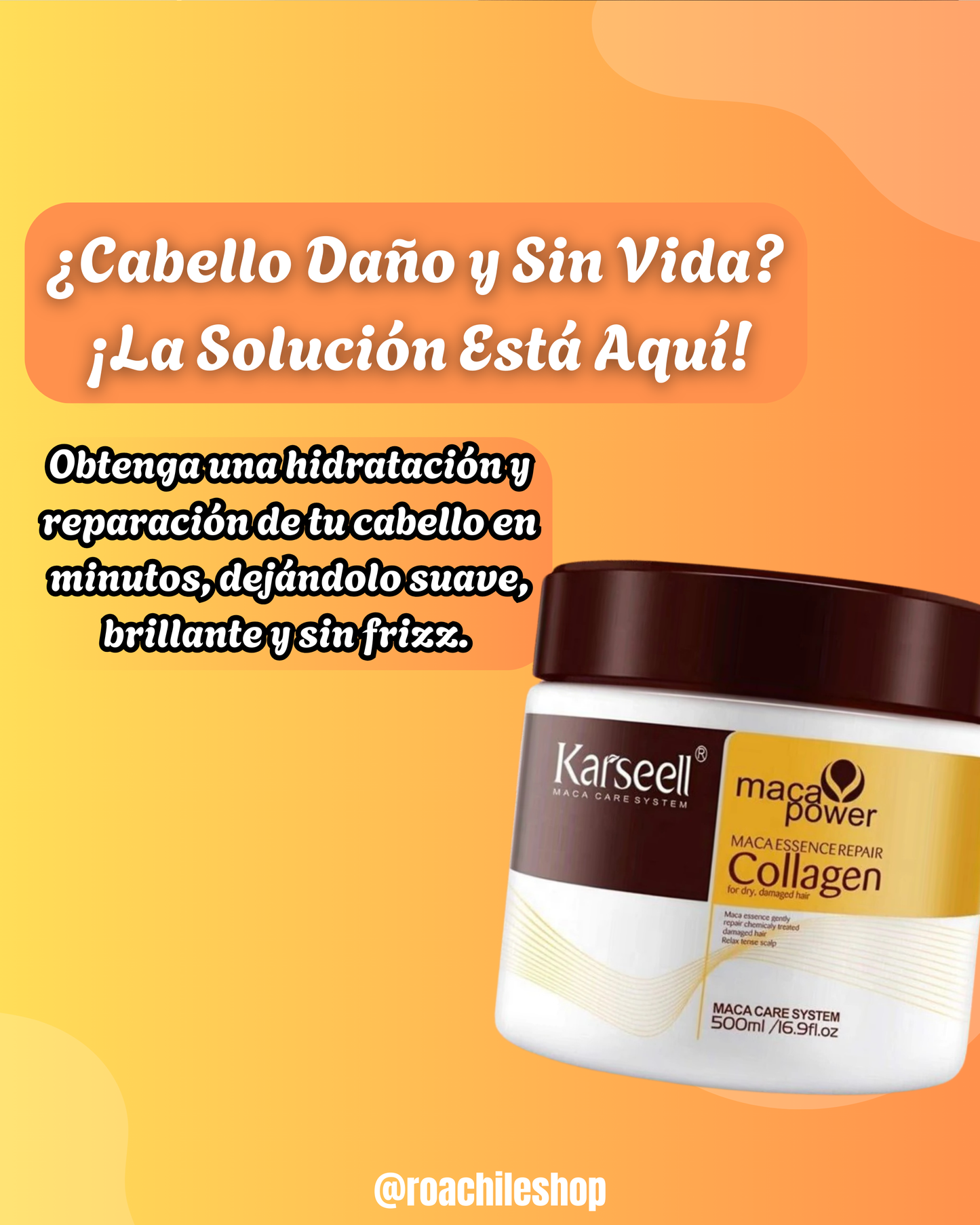 BOTOX CAPILAR KARSEELL ORIGINAL
