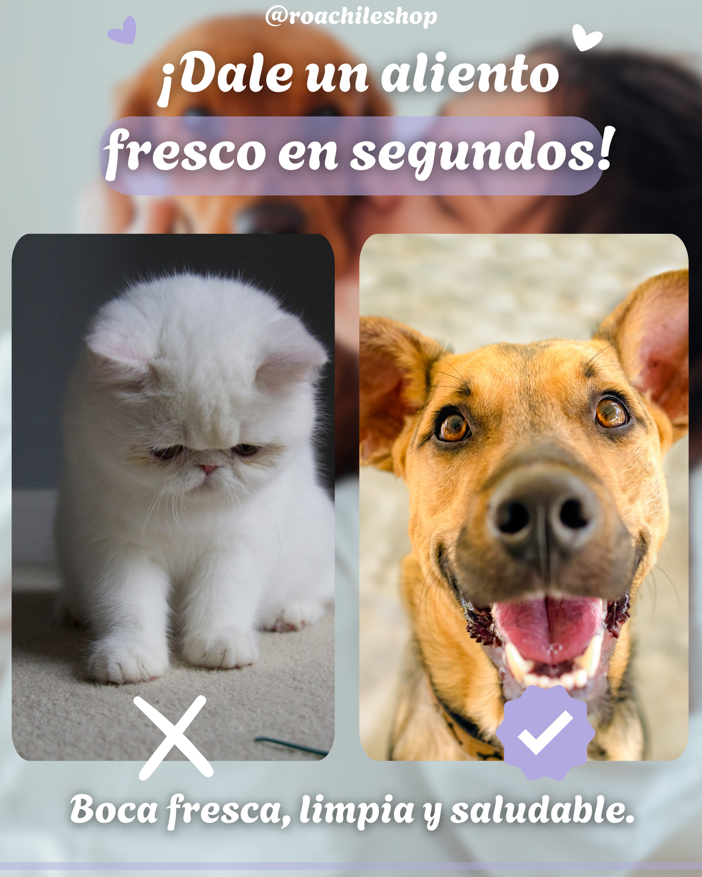 FreshPet™ Spray Bucal Para Perros y Gatos